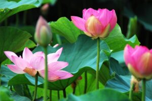 96e51b8966d9f27489a2b534057608ec_s