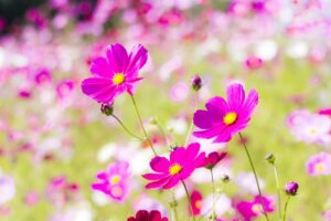 f5893abbe6f612a6cc83302e2695ef60_s