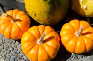 7419218393b9e2a2562cddb43accda31_s